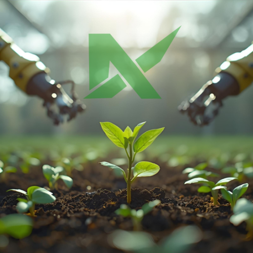 Nexora Nexus Capital inversión 2025 en startups mexicanas con transparencia y plazos desde 1 año